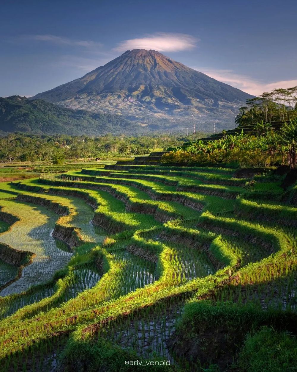 Pesona Sindoro dan Sumbing, Gunung Kembar nan Eksotis di Jawa Tengah