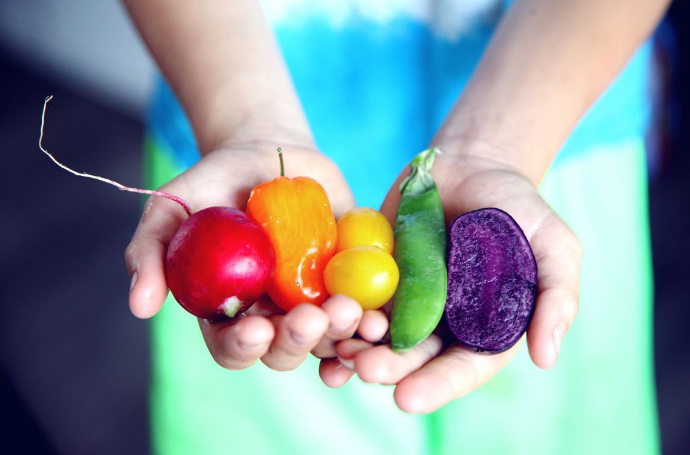 5 Korelasi antara Konsumsi Makanan Sehat dengan Perilaku Baik