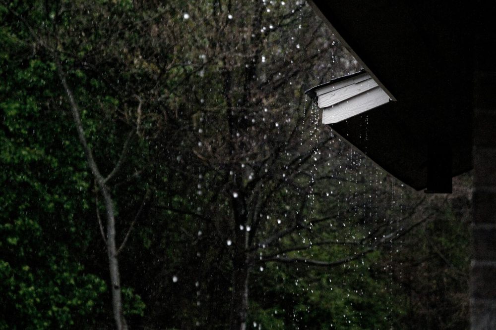 Viral Senderan Subak di Penebel Tabanan Longsor Saat Hujan