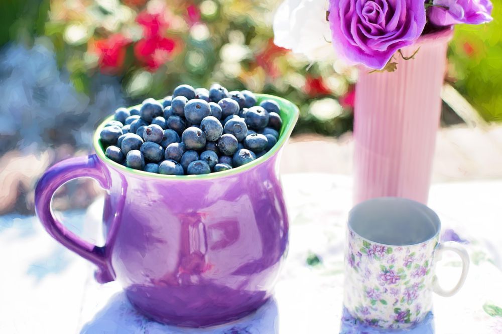 10 Tips Memilih Buah Blueberry yang Matang dan Siap Konsumsi, Manis!