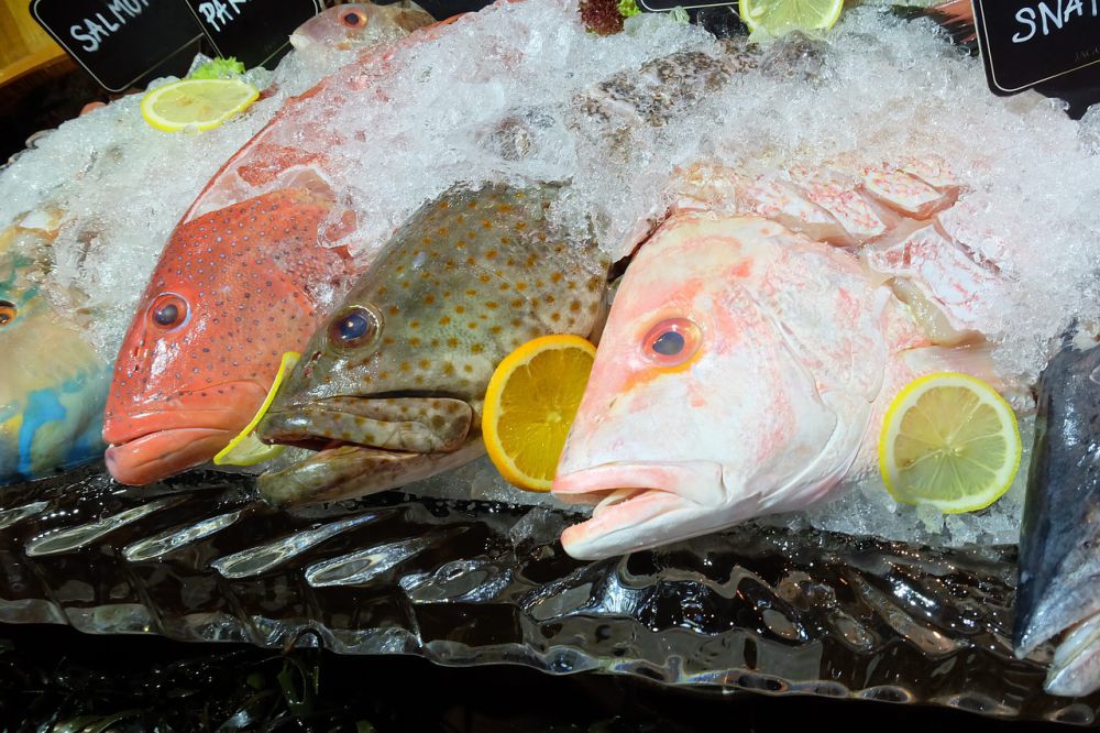 8 Tips Menyimpan Ikan Sudah Dibumbui agar Meresap dan Tak Basi
