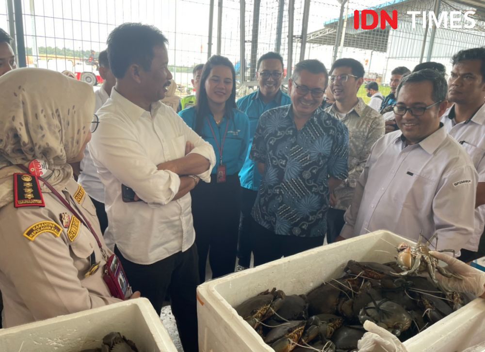 Perdana, Batam Mulai Ekspor Kepiting Bakau ke Shanghai China 
