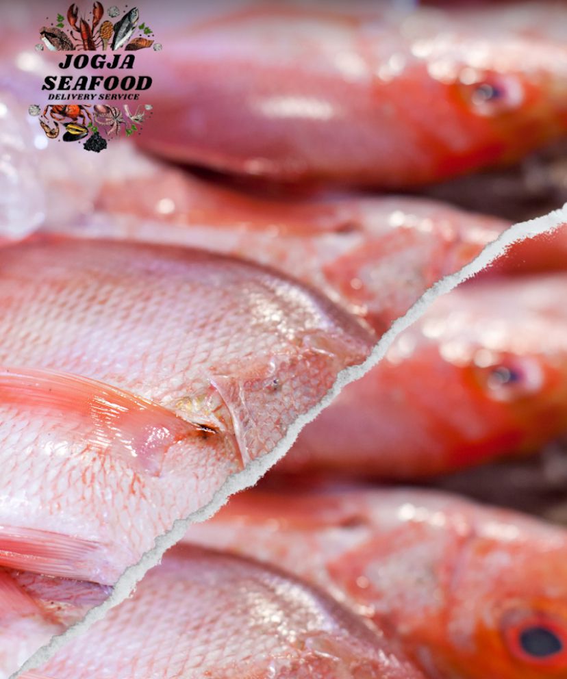 5 Rekomendasi Tempat Belanja Ikan Laut Segar di Jogja
