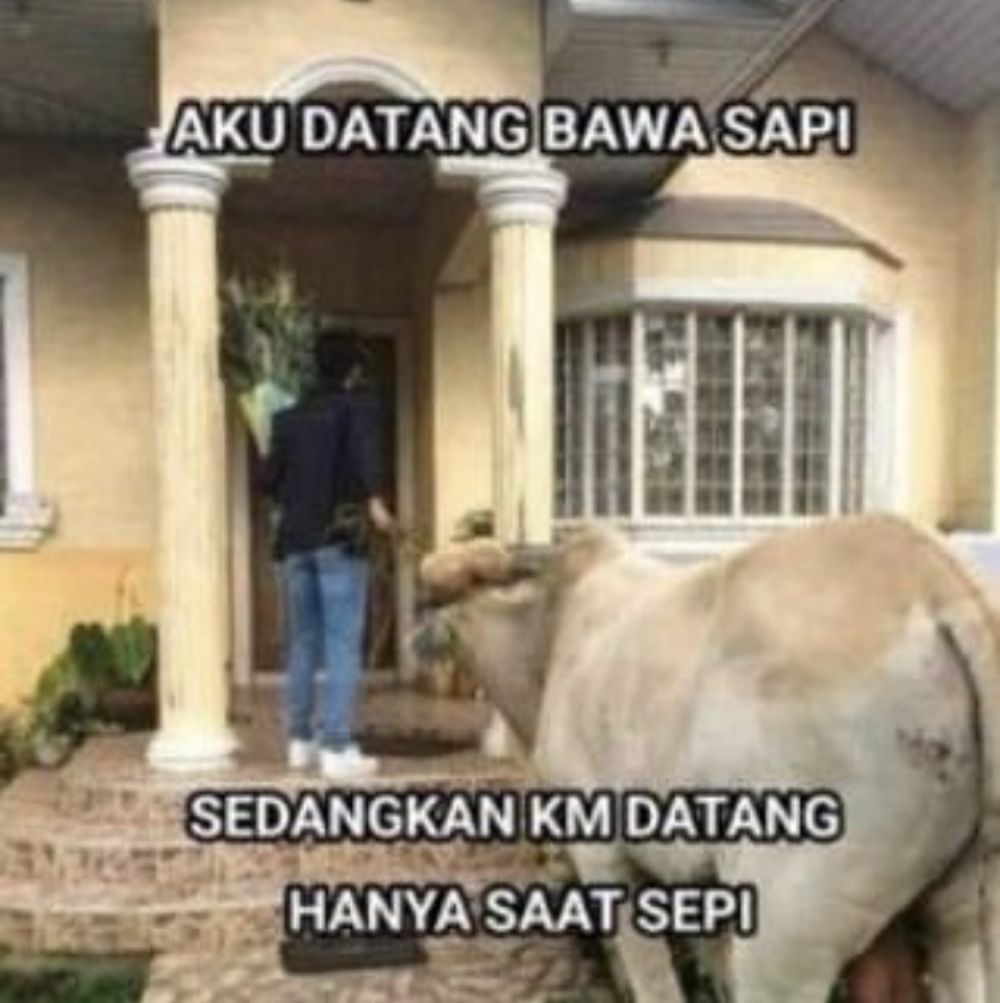 25 Meme Kocak Buat yang Lagi Putus Cinta, Bikin Gampang Move On!