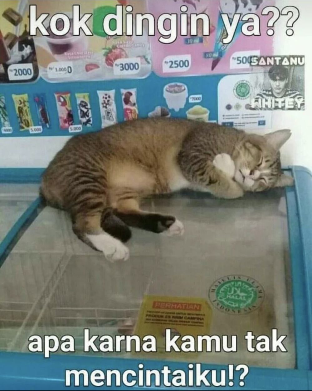 25 Meme Kocak Buat yang Lagi Putus Cinta, Bikin Gampang Move On!