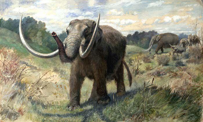 5 Fakta Mastodon, Hewan Purba Berbulu Tebal Yang Mirip Denga