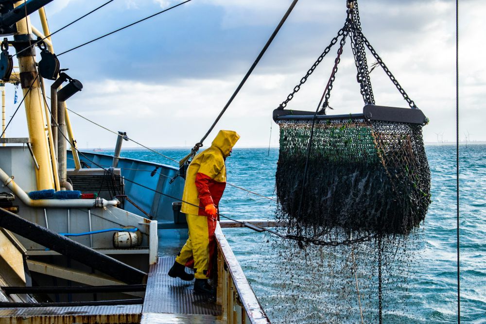 Nelayan Pantai Barat Mengeluh Soal Maraknya Pukat Trawl