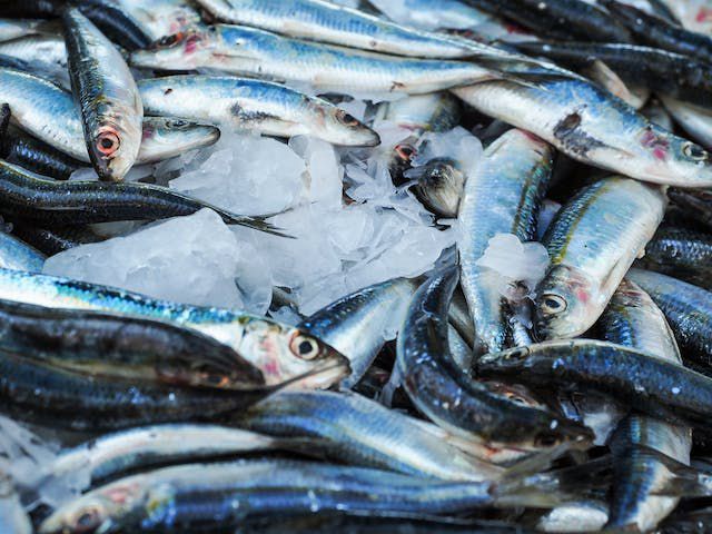 Resep Ikan Kukus Jahe yang Super Praktis, Cocok untuk Diet