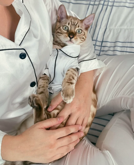 7 Potret Lucu Kucing Clingy di Pangkuan Hooman, Seperti Bayi