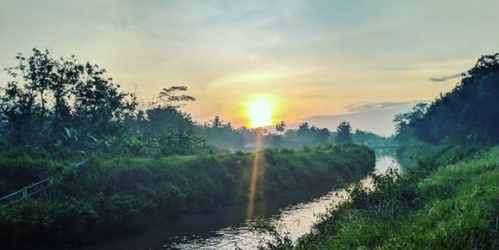Fakta dan Sejarah Selokan Mataram, Kanal Air untuk Hindari Romusha