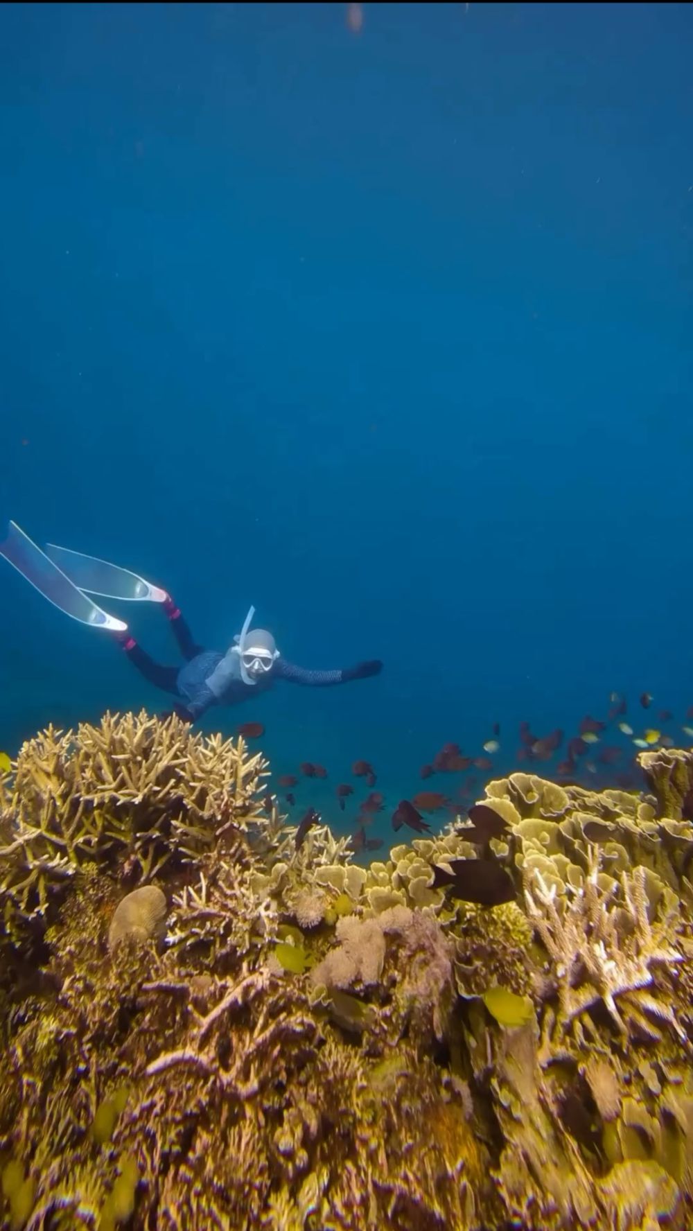7 Potret Ria Ricis Snorkling di Lombok, Sekalian Pungut Sampah di Laut