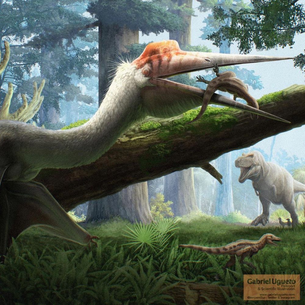 5 Fakta Unik Nanotyrannus, Dinosaurus Bikin Heboh Awal 2024!