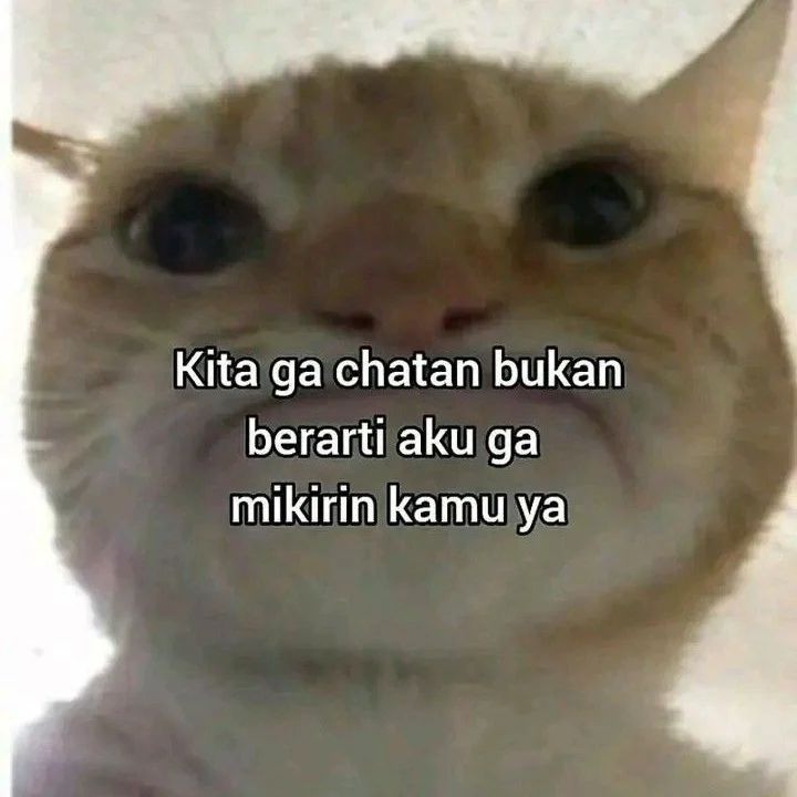 25 Meme Kocak Buat yang Lagi Putus Cinta, Bikin Gampang Move On!