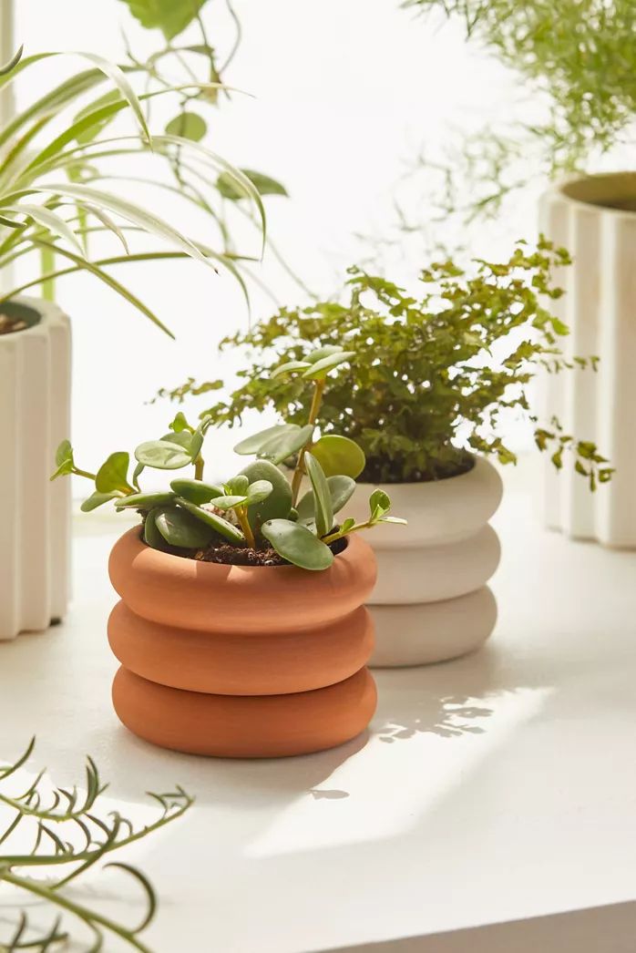 9 Ide Vas Bunga DIY Cheerful Untuk Dekorasi Rumah Unik dan Minimalis 
