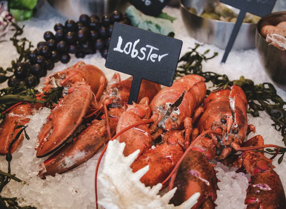 4 Cara Menentukan Lobster Segar, Tak Bau Amis!