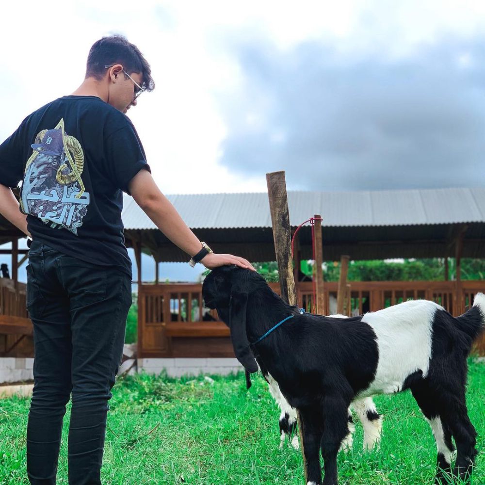 9 Potret Kehidupan Baim, Mantan Artis Cilik yang Kini Bisnis Kambing