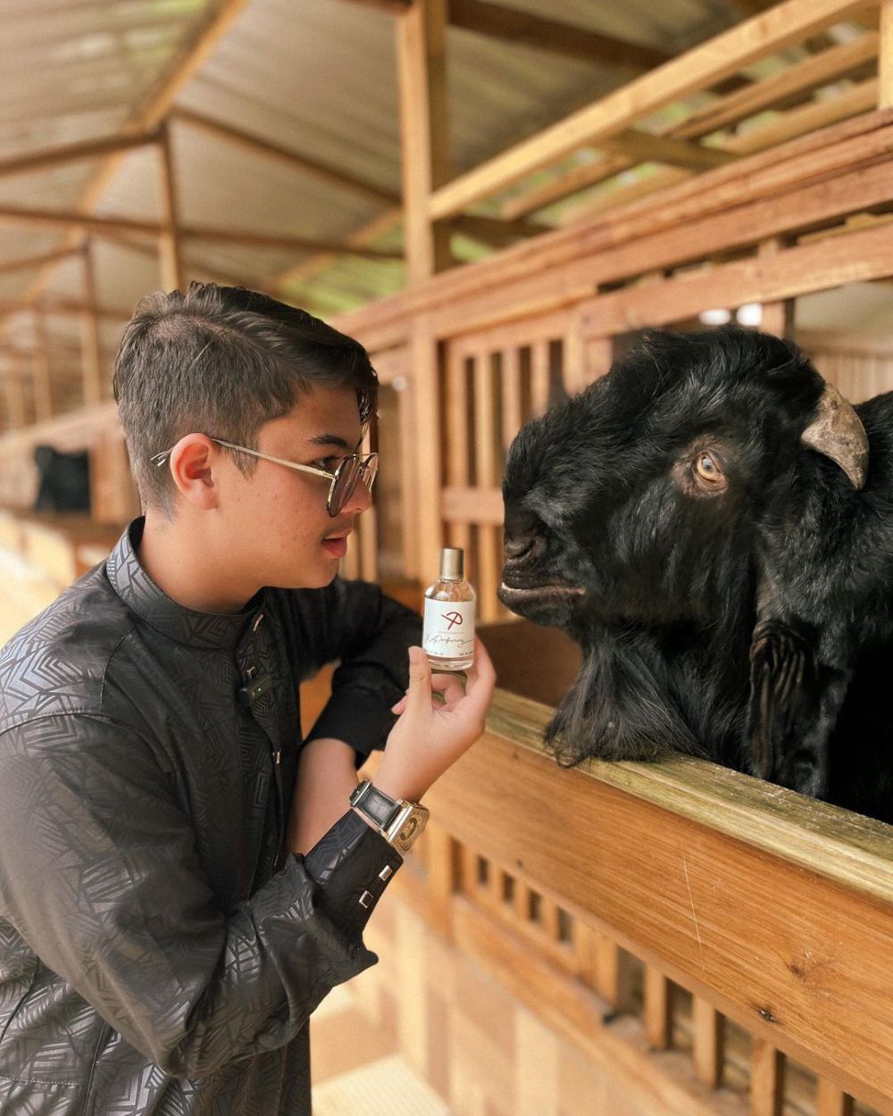 9 Potret Kehidupan Baim, Mantan Artis Cilik yang Kini Bisnis Kambing