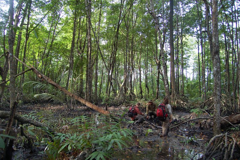 Mau Jadi Pegiat Lingkungan, Kamu Wajib Ngerti dengan 7 Istilah Ini