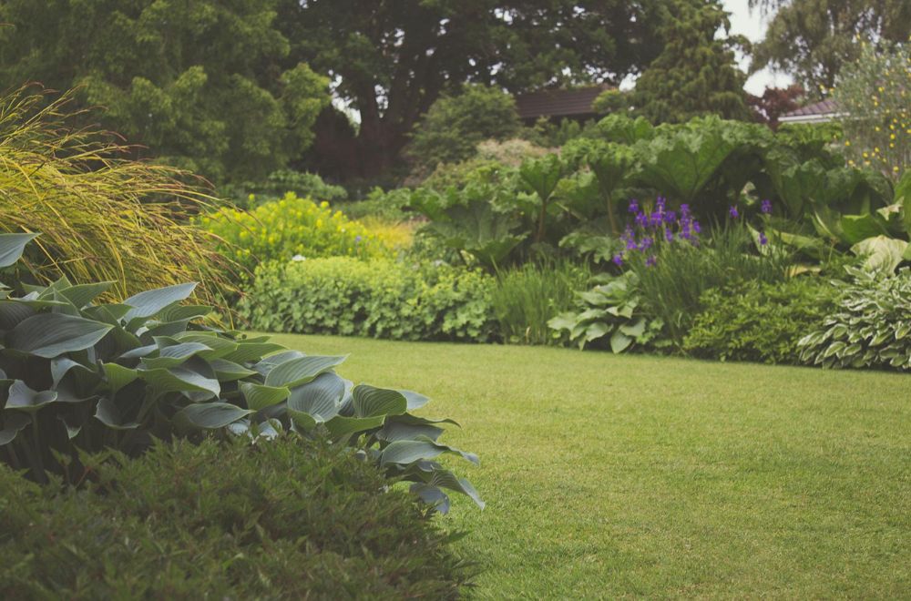 5 Alasan Mengapa Merawat Taman di Rumah Mendatangkan Kebahagiaan  