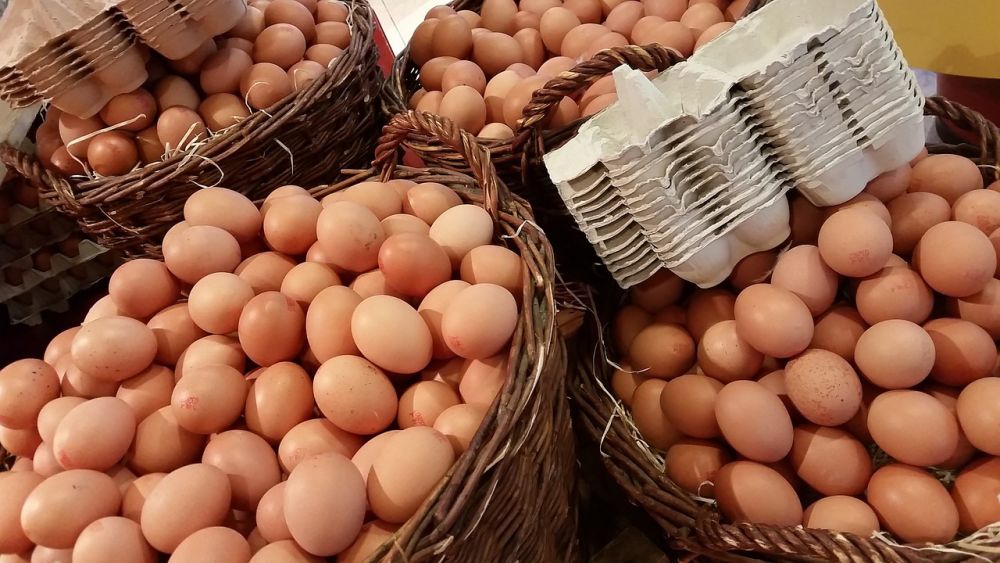 Beras Masih Mahal, Kini Harga Telur Ayam Melambung Tinggi