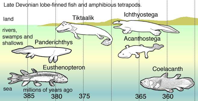 6 Fakta Coelacanth, Ikan Purba yang Masih Hidup sampai Sekarang