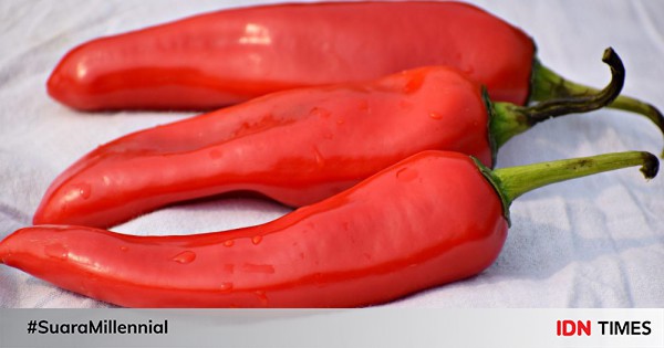 Panduan Lengkap: Cara Memilih Cabai Merah Segar untuk Masakan yang Lebih Lezat
