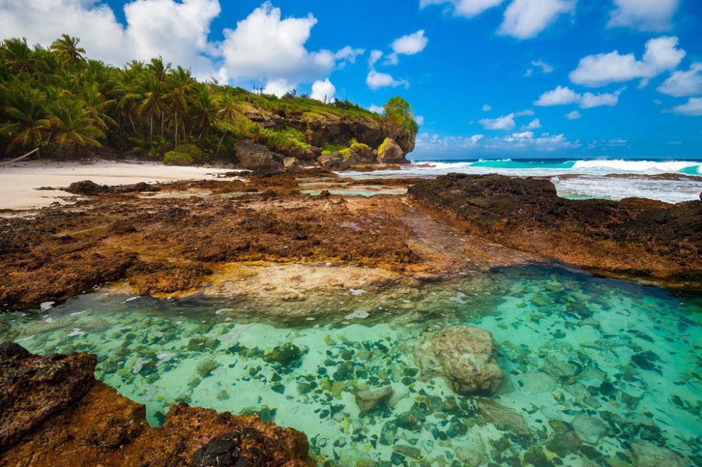 7 Fakta Mencengangkan Pulau Natal, Surga Tersembunyi Dekat Indonesia!