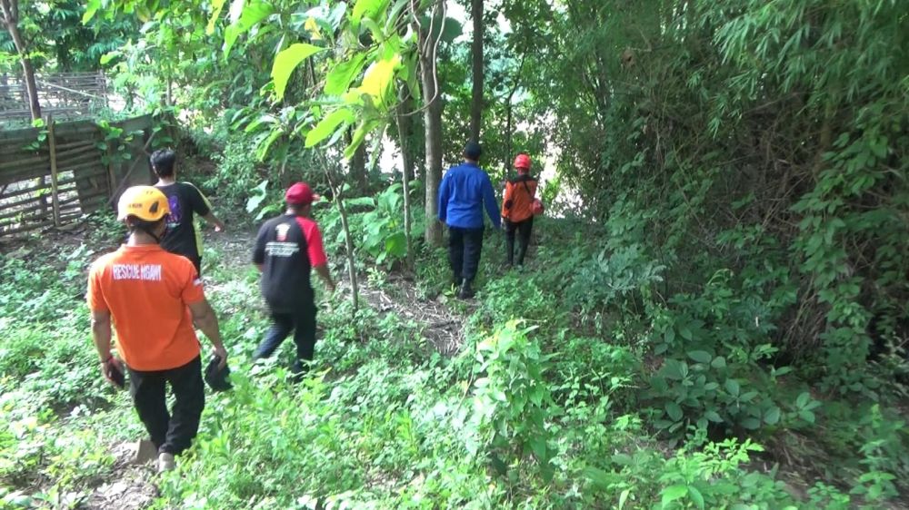 Kera Liar Teror Warga di Ngawi, Serang Tanaman dan Anak-anak