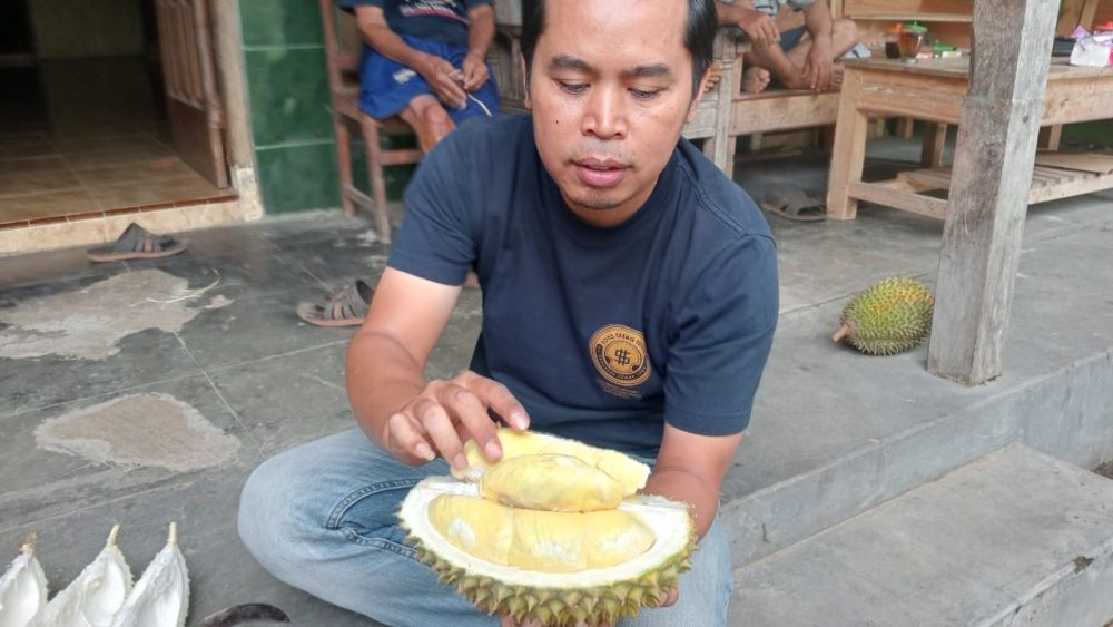 Mengenal Saman, Durian Lokal Kelas Premium Asal Magetan