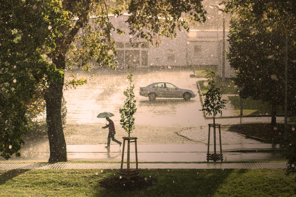 BMKG Prakirakan Hari Ini DIY Terjadi Hujan Ringan hingga Lebat