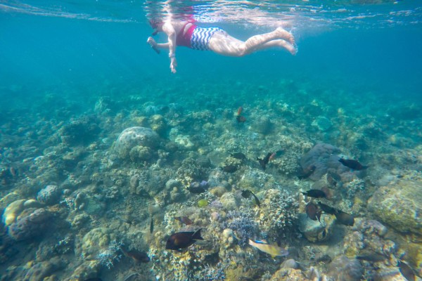 5 Perlengkapan yang Sebaiknya Kamu Bawa Saat Snorkeling