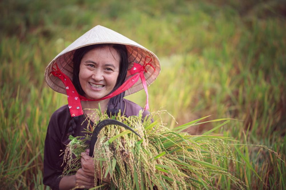 6 Pelajaran Hidup dari Bertani di Sawah, Disiplin dan Kerja Sama