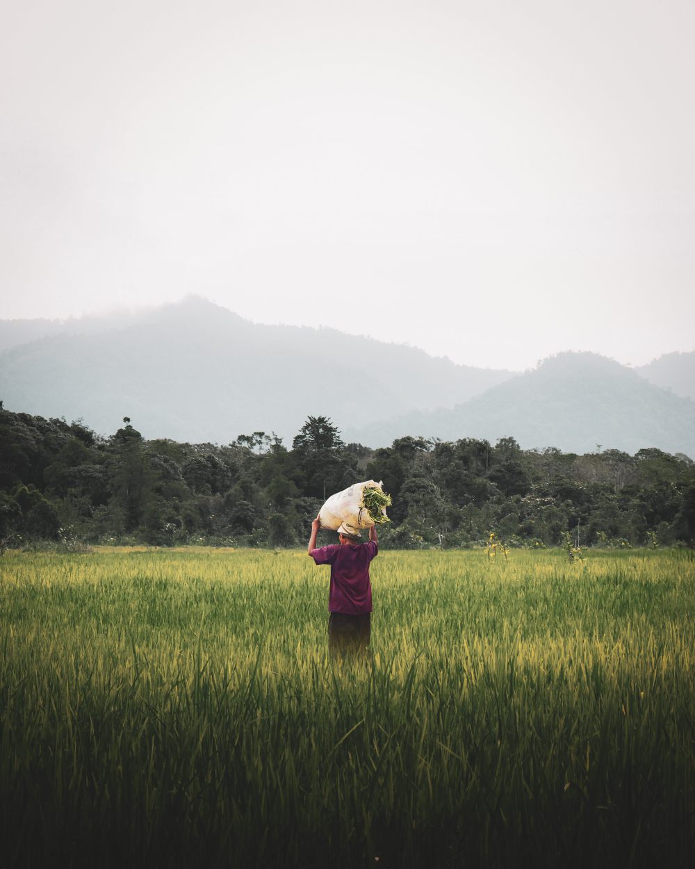 Kementan Berikan Bantuan Rp10,94 Miliar untuk Petani di Lombok Tengah