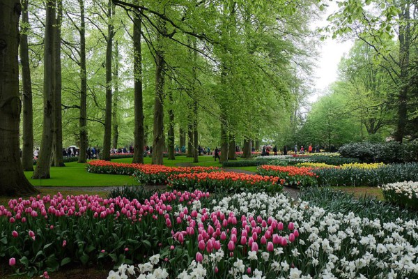 Tempat Wisata Musim Semi di Eropa