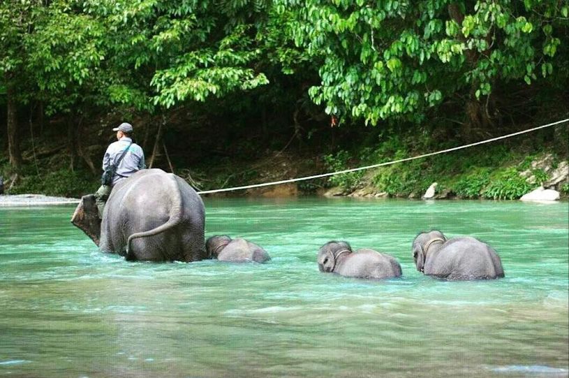 7 Taman Nasional di Indonesia Masuk ASEAN Heritage Park