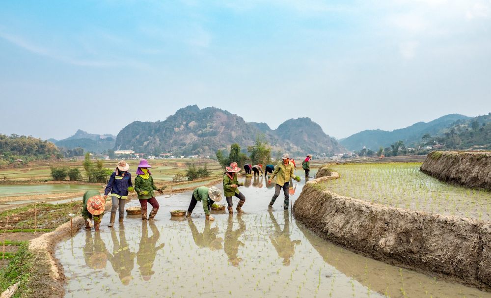 Sambangi Jateng, Mentan Salurkan Bantuan 10 Ribu Pompa Air Senilai Rp600 M