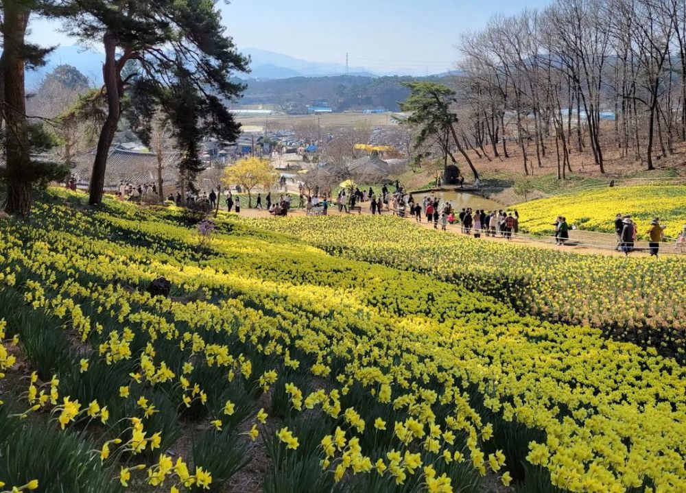 5 Spring Holiday Destinations in South Korea, Beautiful Views