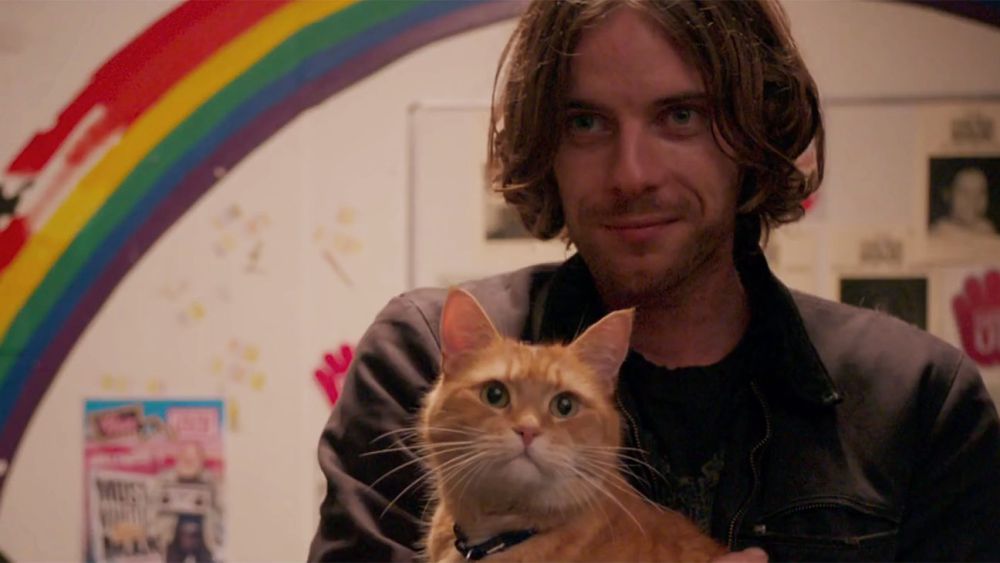7 Film Tentang Persahabatan Manusia dan Kucing, Unyu dan Bikin Sedih