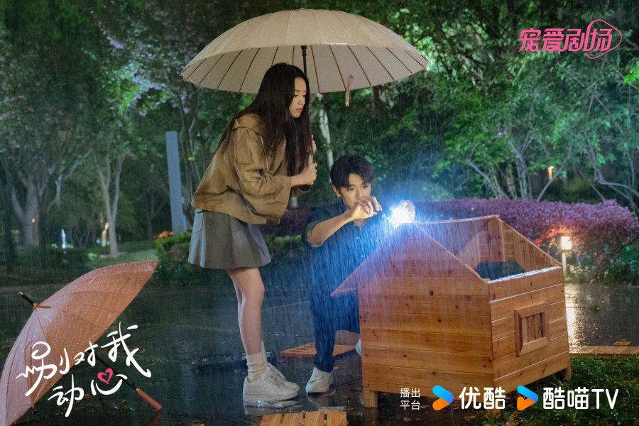 Sinopsis Drama China Everyone Loves Me, Tayang di Mana?