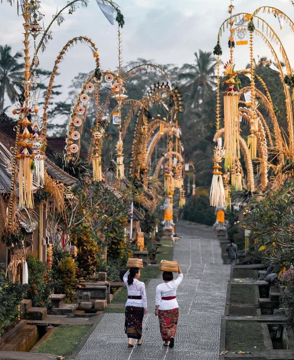 14 Nama Penglingsir Puri yang Mendukung Bandara Bali Utara
