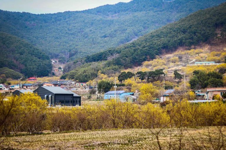 5 Spring Holiday Destinations in South Korea, Beautiful Views