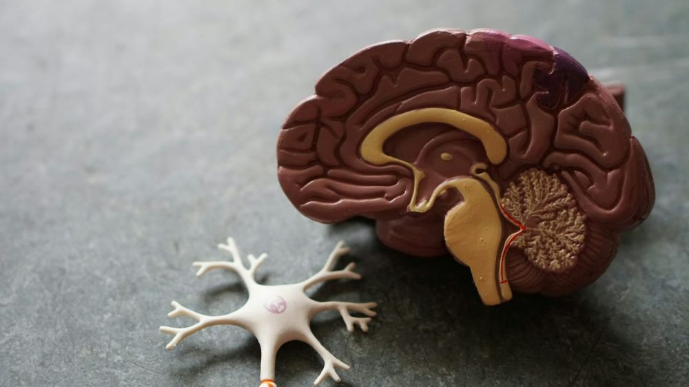 4 Manfaat Puasa untuk Otak yang Perlu Kamu Tahu