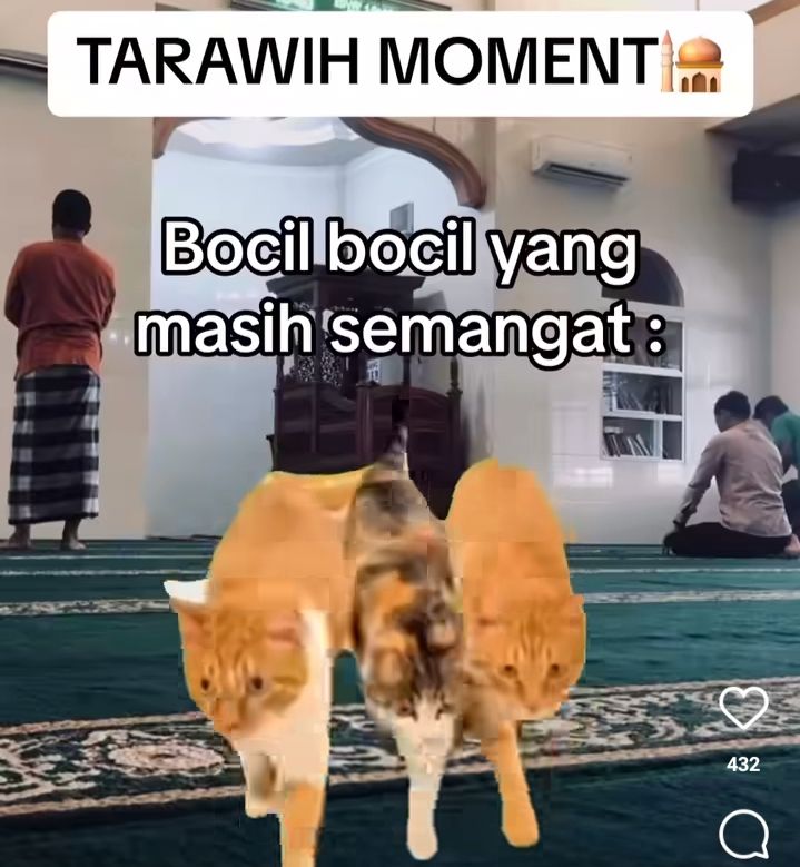 10 Meme Kucing Salat Tarawih, Ada yang Urut Jumlah Rakaat?
