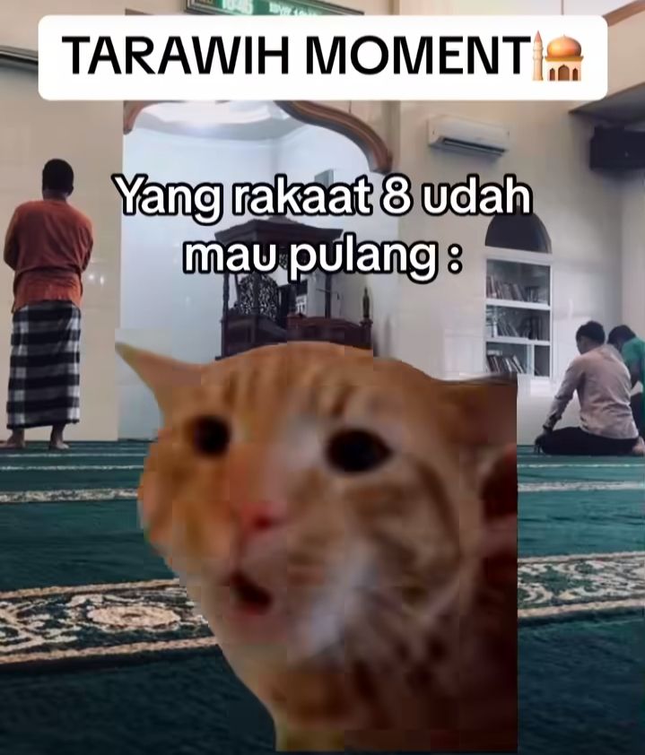 10 Meme Kucing Salat Tarawih, Ada yang Urut Jumlah Rakaat?