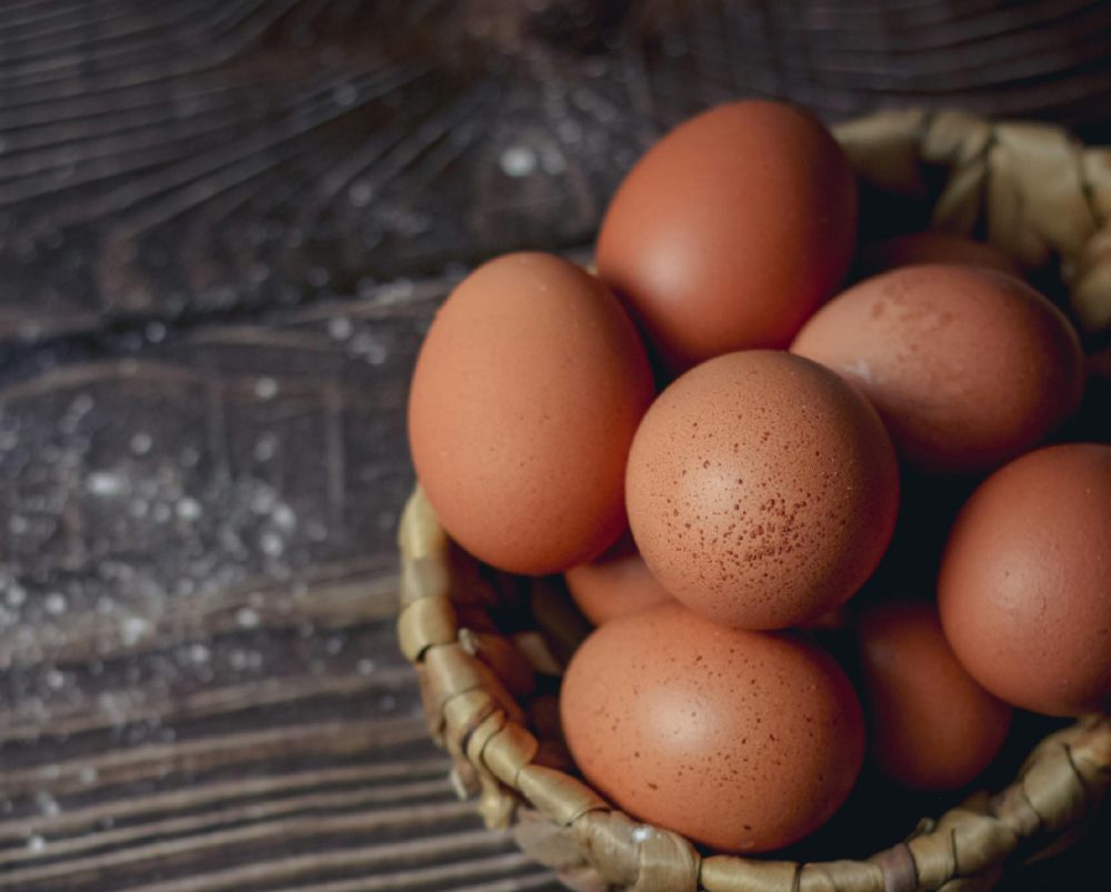 5 Alasan Telur jadi Stok Makanan yang Disukai Banyak Orang