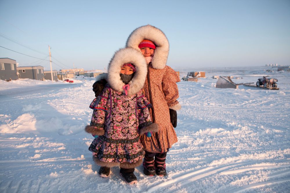 Mengenal 5 Perbedaan Menarik Antara Antartika dan Arktik