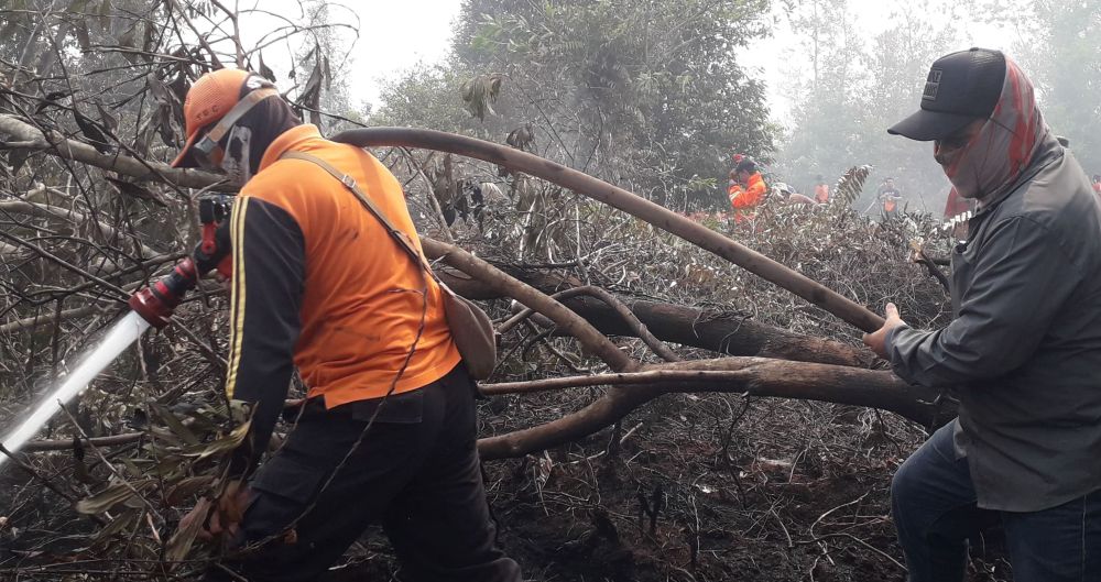 Riau Siaga Darurat Karhutla, Gubernur Minta Bantuan Helikopter