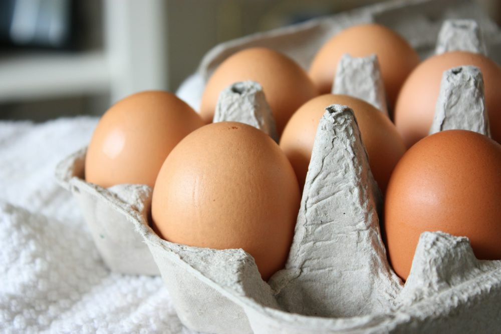 5 Alasan Telur jadi Stok Makanan yang Disukai Banyak Orang