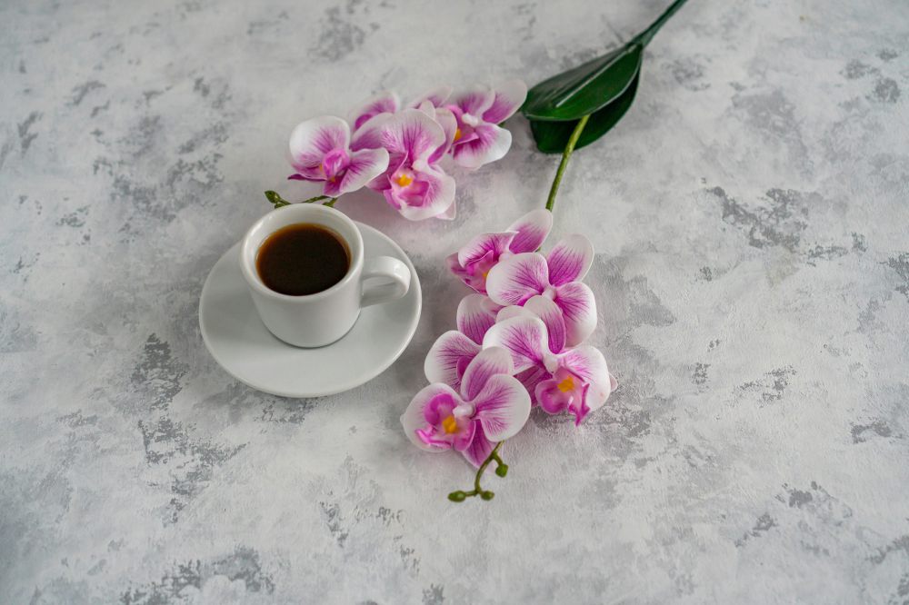 7 Pilihan Bunga Cantik untuk Menghias Meja Makan, Elegan dan Memikat
