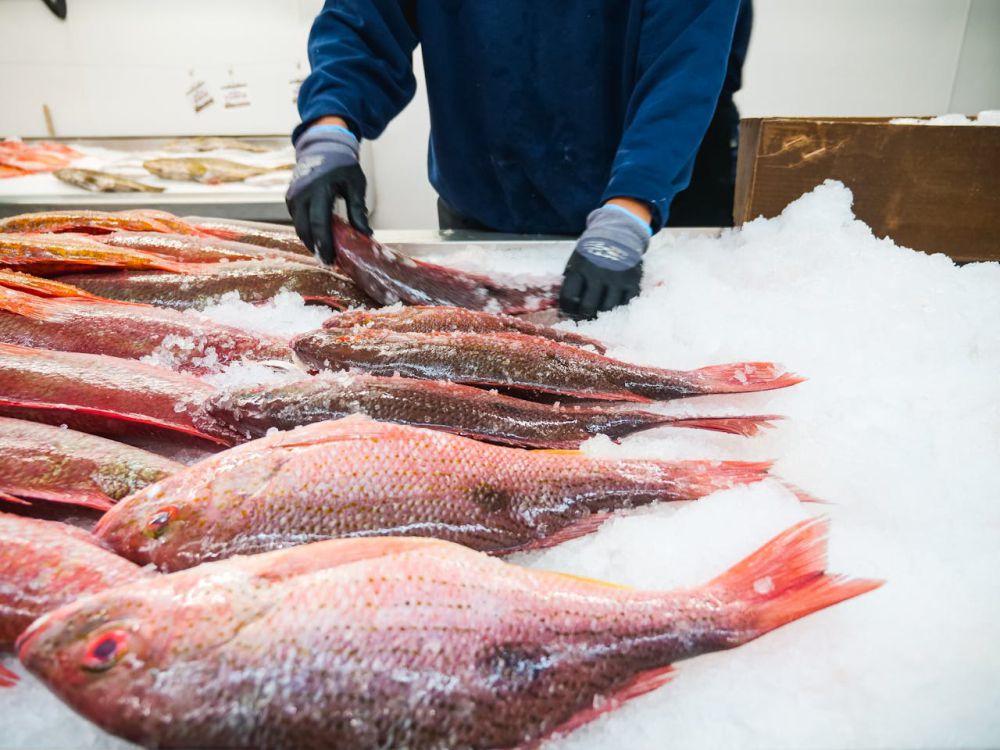 5 Kesalahan Mengolah Ikan yang Bisa Merusak Rasa dan Tampilan